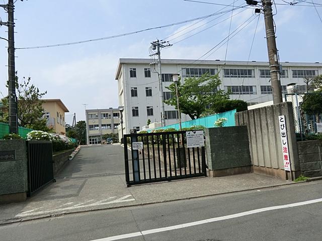 Junior high school. Chigasaki City Hamasuka until junior high school 486m