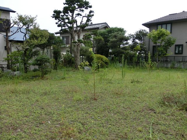 Local land photo