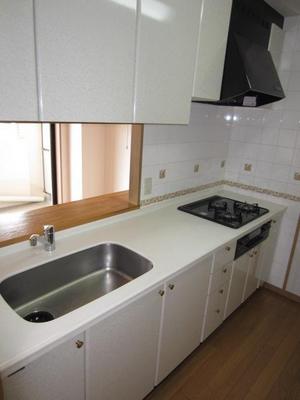 Kitchen. System kitchen counter