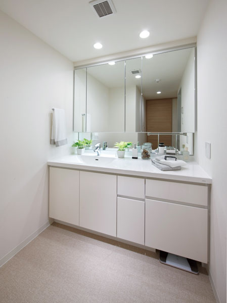 Bathing-wash room.  [bathroom] Full of sophisticated functional beauty.