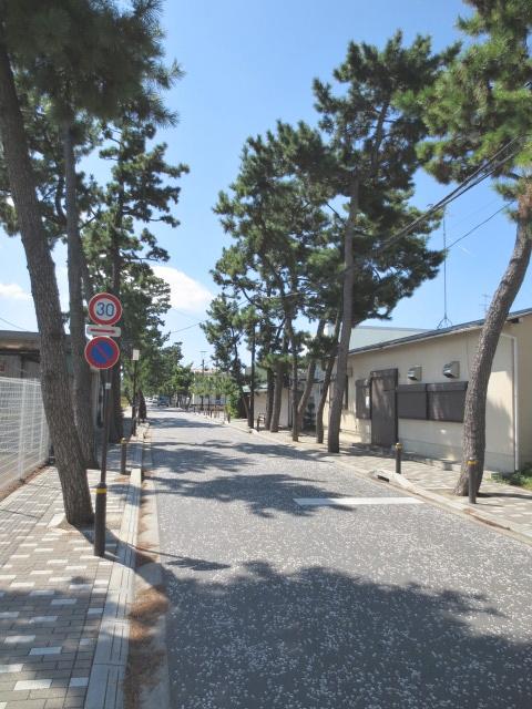 Streets around. Tsurumine shrine to approach 70m