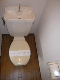 Toilet. Toilet