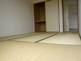 Living and room. Japanese style room