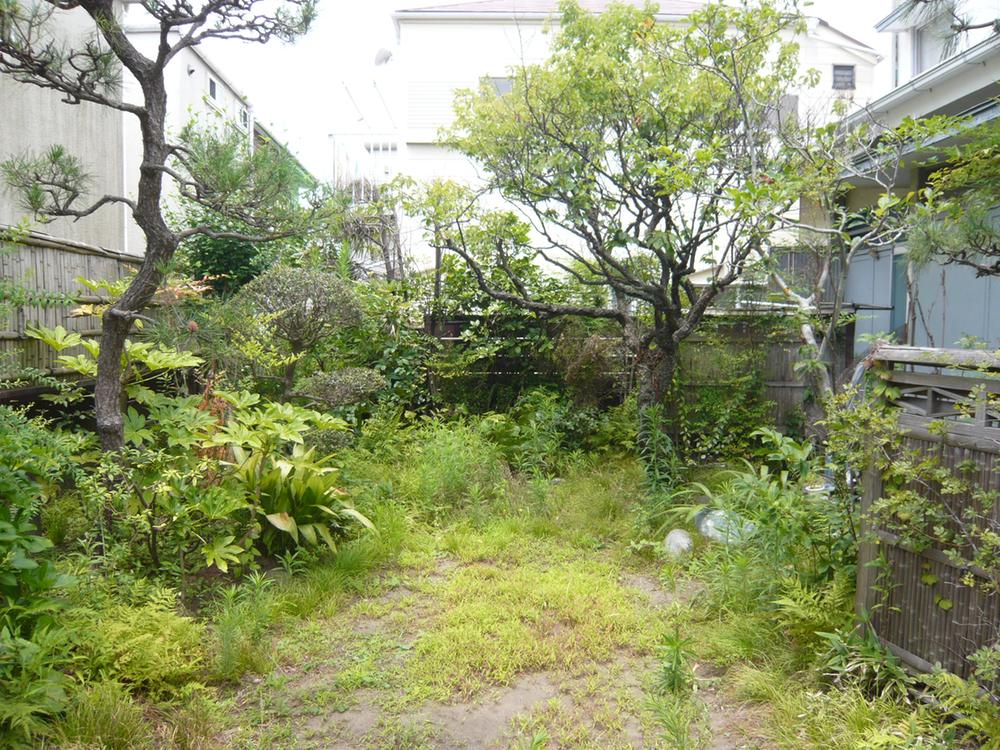 Local land photo. It is may be your gardening who left the vegetation that exists precisely because superimposed year.