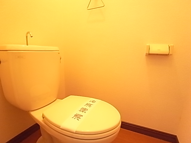 Toilet