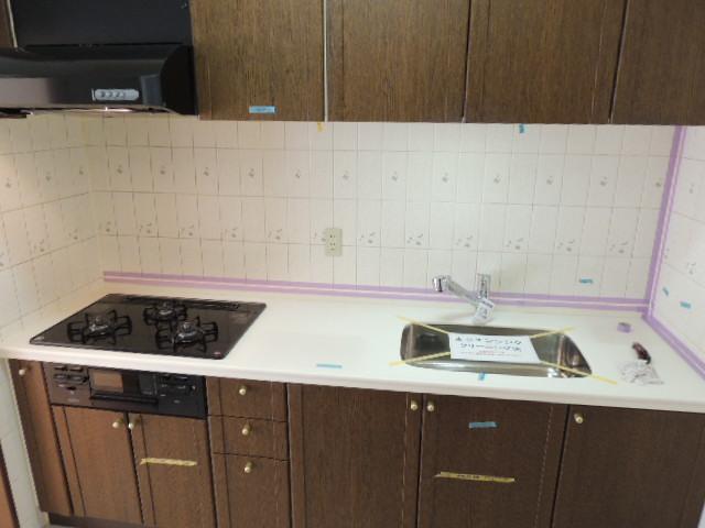 Kitchen. Indoor (11 May 2013) Shooting