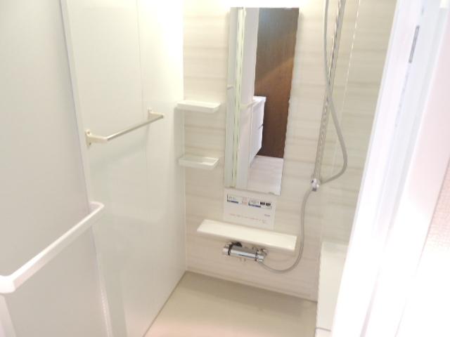 Bathroom. Indoor (11 May 2013) Shooting