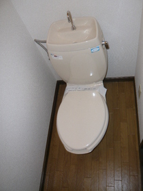 Toilet. Toilet