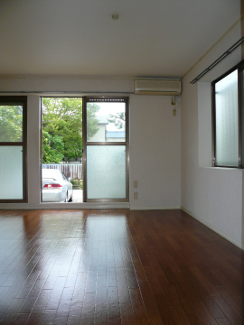 Living and room. Bright room