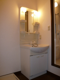 Washroom. Wash basin