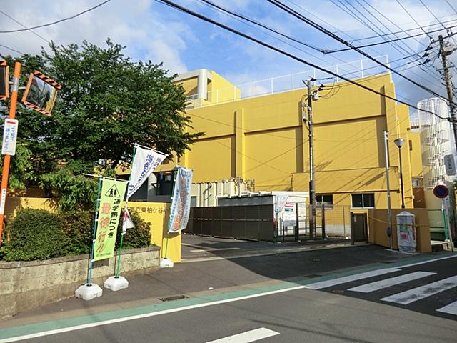 Primary school. Ebina Municipal Higashikashiwagaya to elementary school 547m
