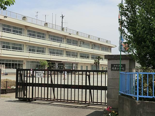 Primary school. Ebina City Yushika to elementary school 602m