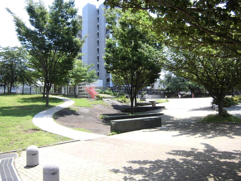 Local appearance photo. Local (July 2013 shooting)