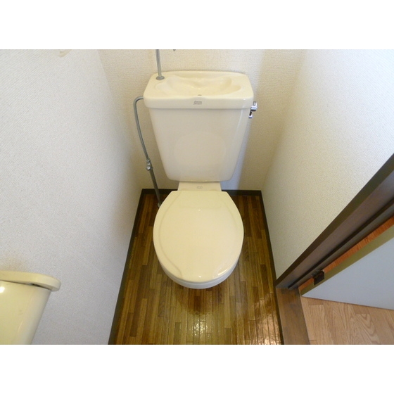 Toilet. Toilets are like this.