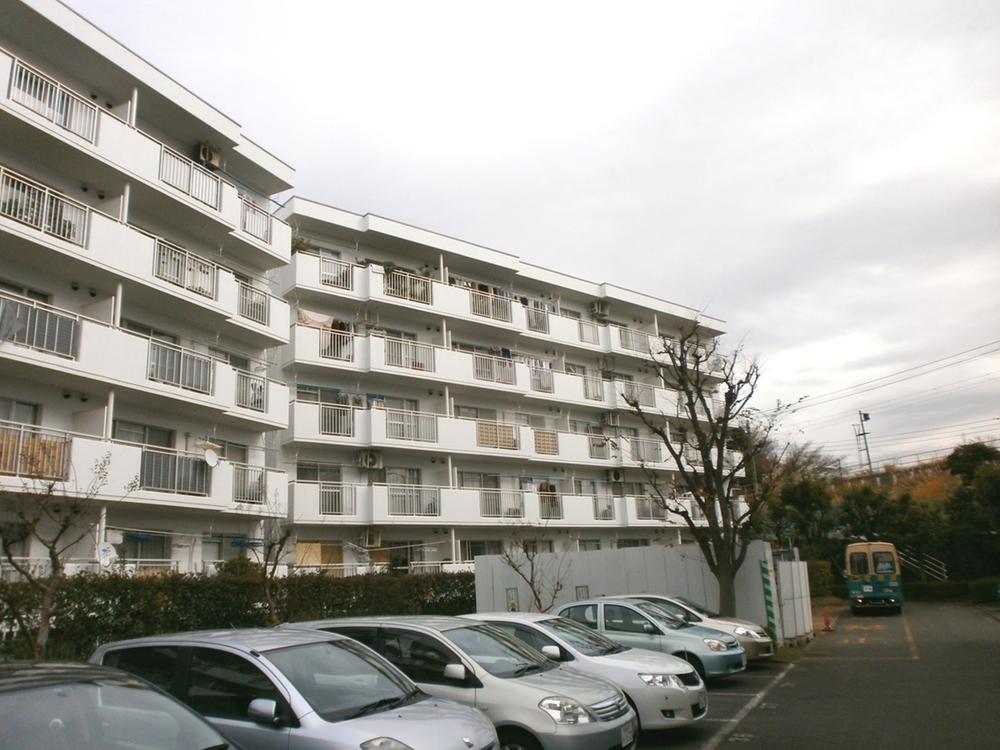 Local appearance photo. Local (12 May 2013) Shooting