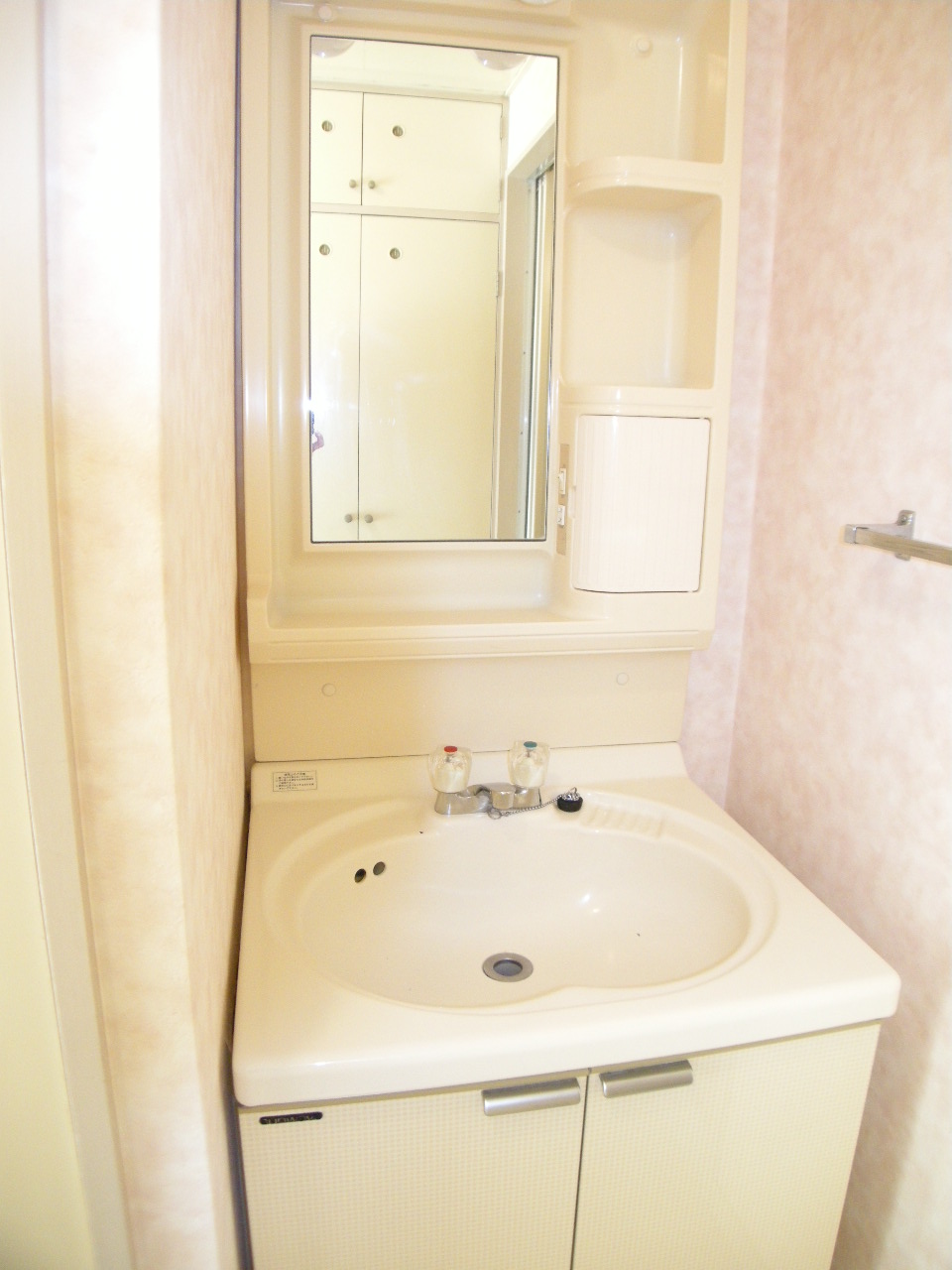 Washroom. Bathroom vanity