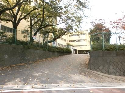 Primary school. Ebina Municipal Sugikubo to elementary school 1419m