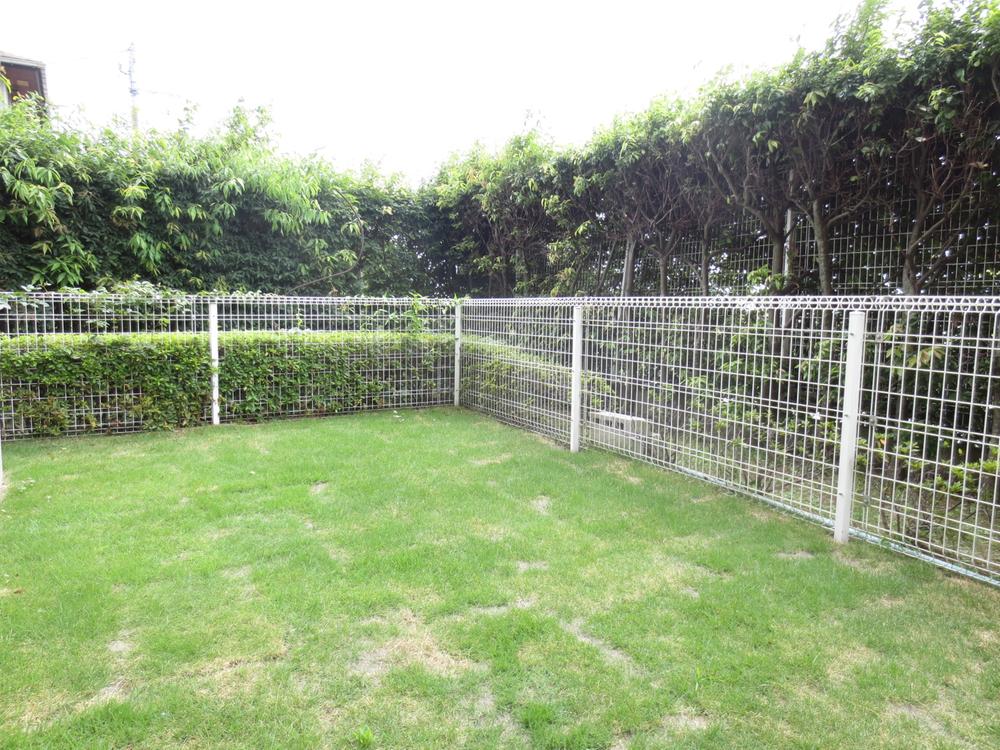 Garden. Indoor (July 2013) Shooting