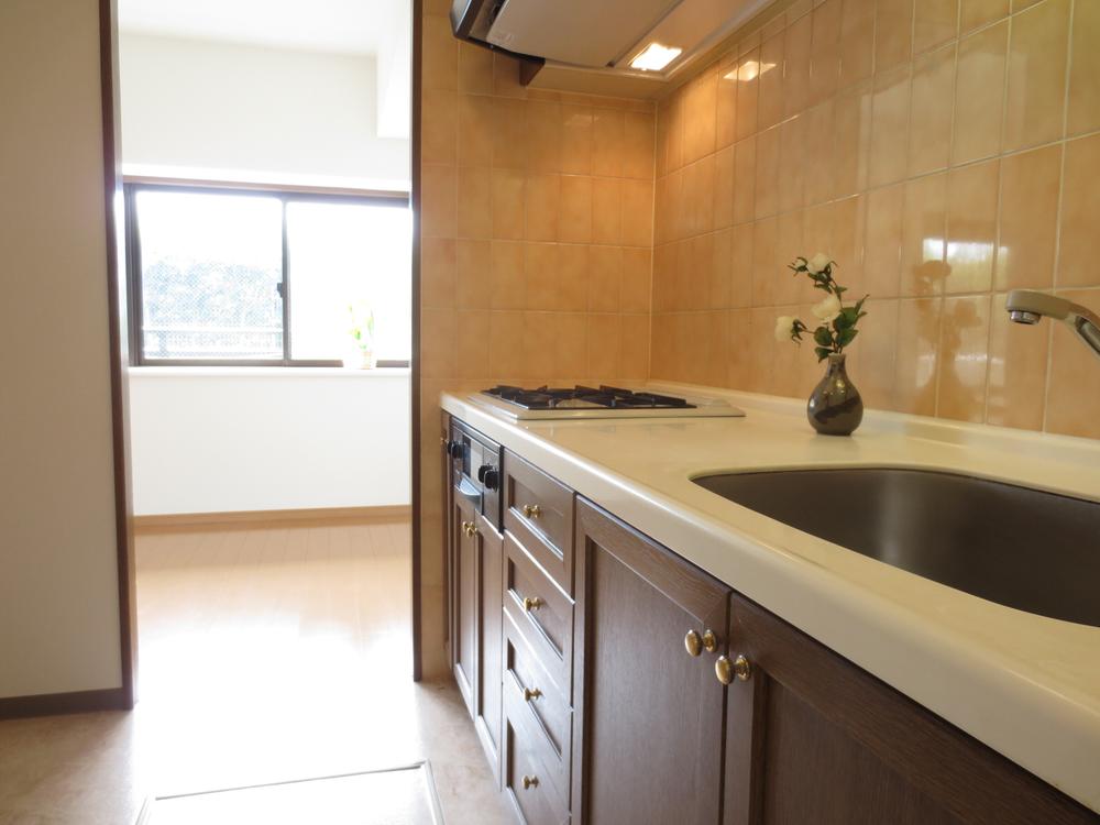 Kitchen. Indoor (July 2013) Shooting