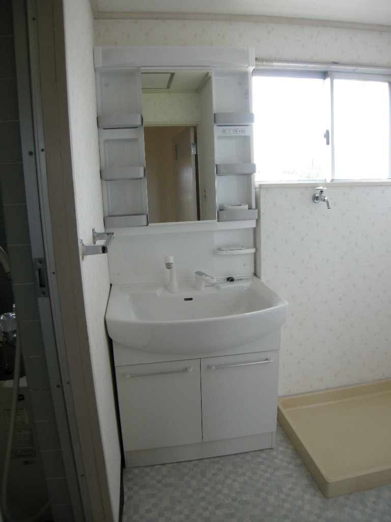 Washroom. Vanity new