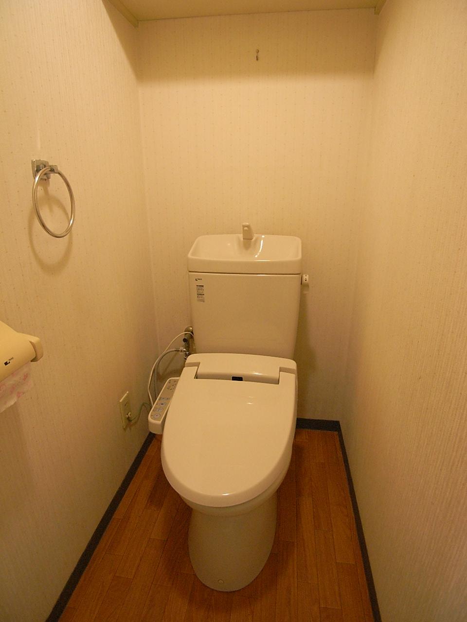 Toilet. Indoor (July 2013) Shooting