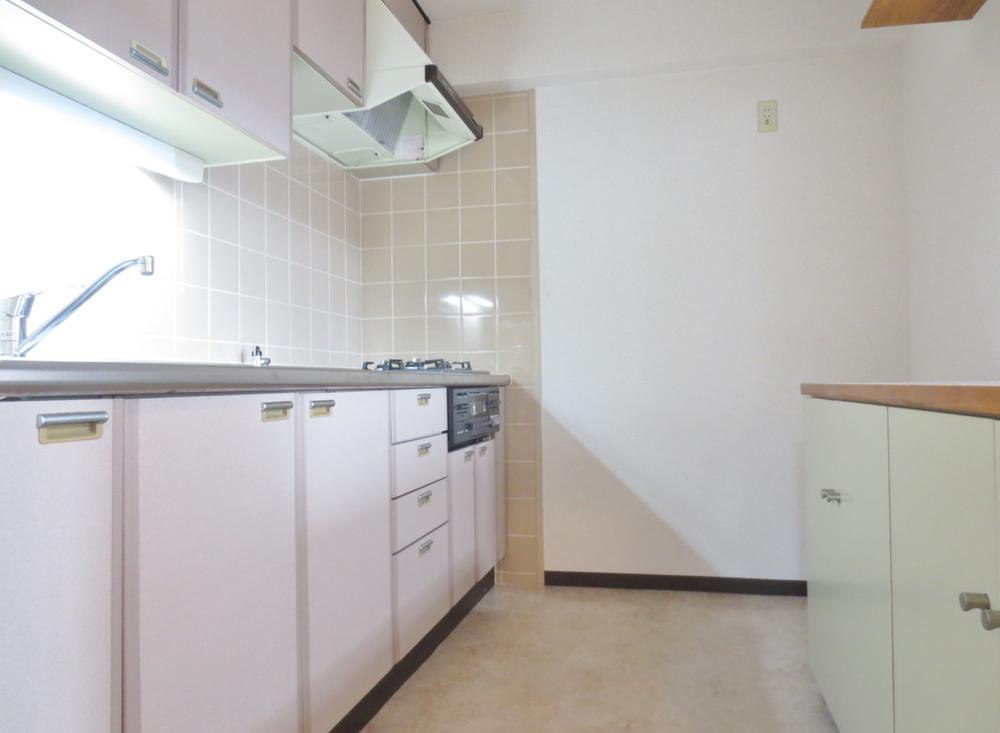 Kitchen. Indoor (July 2013) Shooting