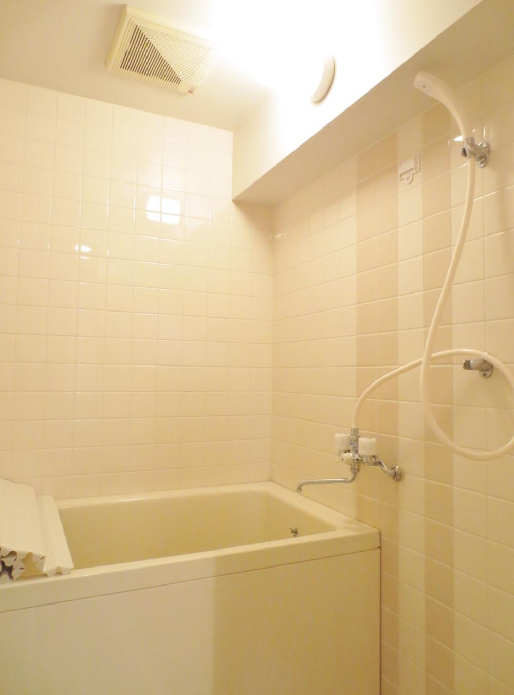 Bathroom. Indoor (July 2013) Shooting