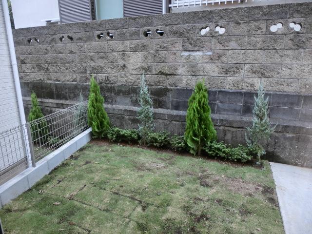 Garden. Local (10 May 2013) Shooting