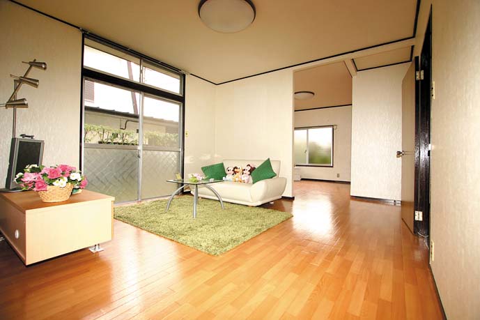 Living and room. model room