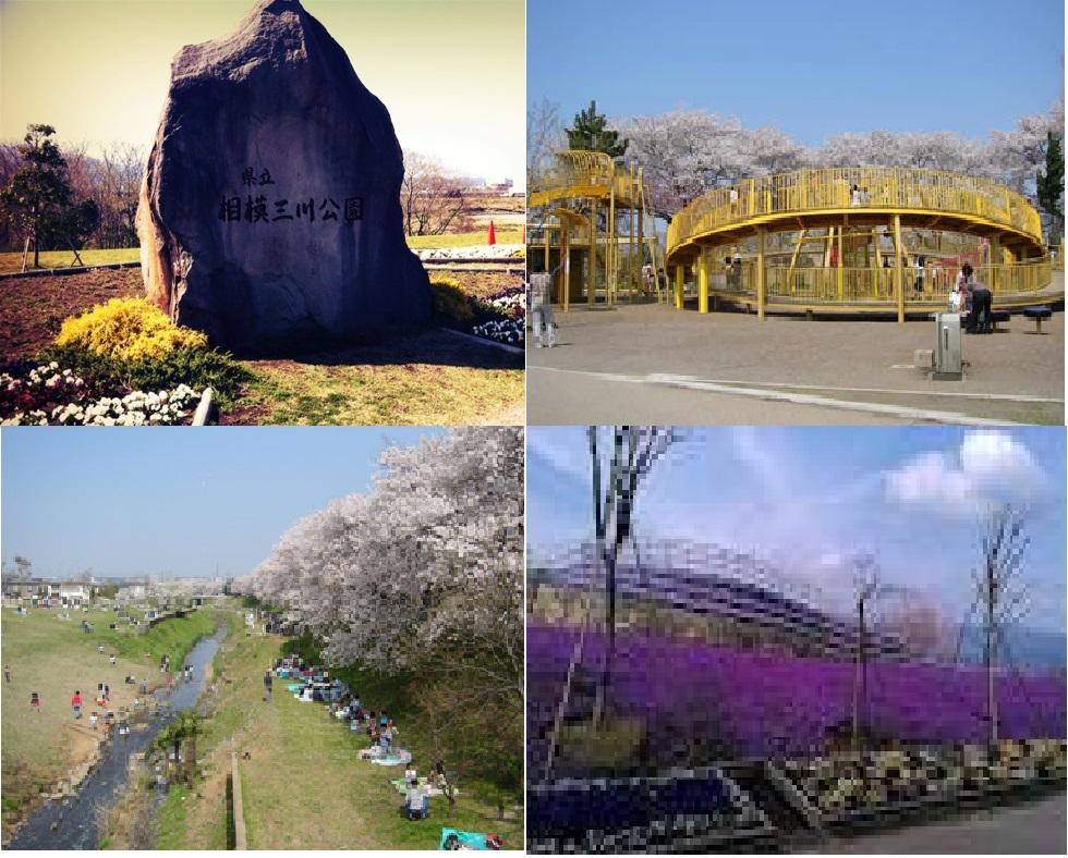 park. Sakura is the 200m spring to Mikawa park, You can enjoy the river in the summer.