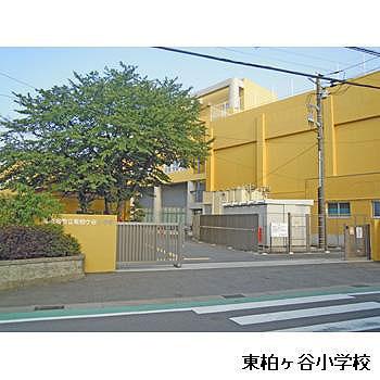 Primary school. Higashikashiwaketani elementary school