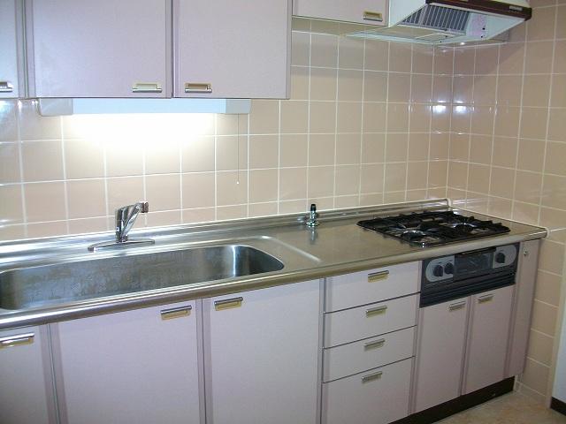 Kitchen. Indoor (July 2013) Shooting