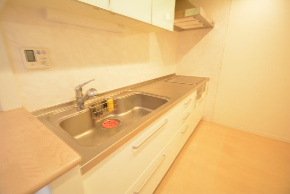 Kitchen. Indoor (11 May 2013) Shooting