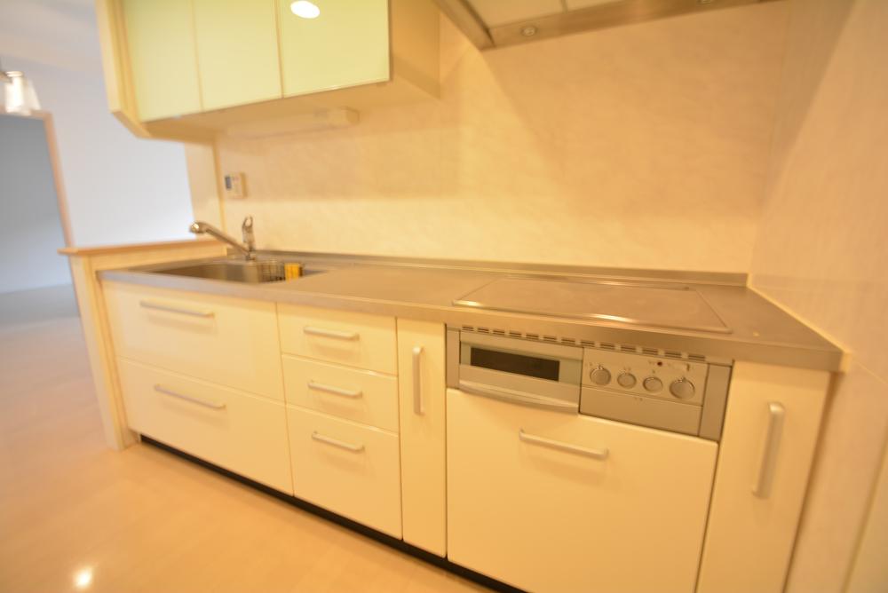 Kitchen. Indoor (11 May 2013) Shooting