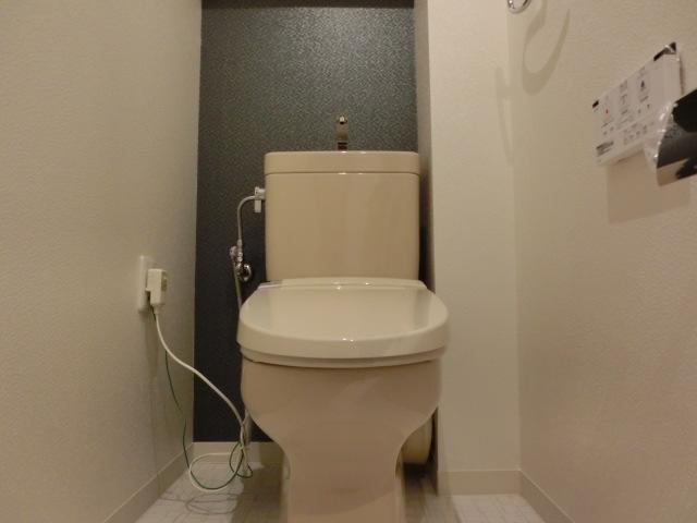 Toilet. Indoor (September 2013) Shooting