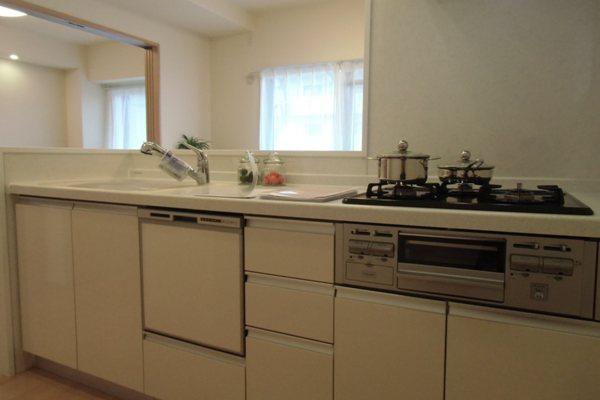 Kitchen. Indoor (11 May 2013) Shooting