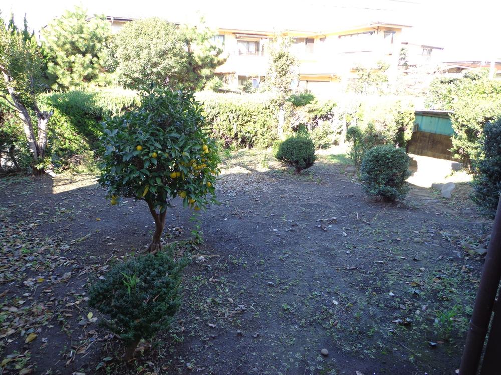 Local land photo