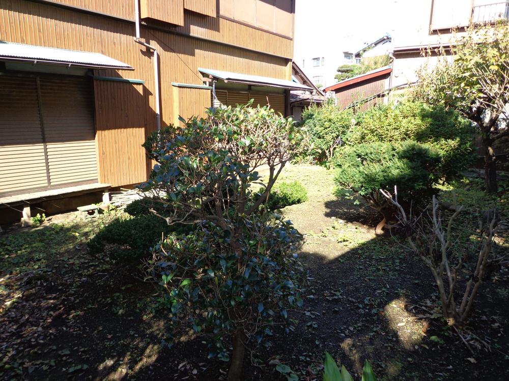Local land photo