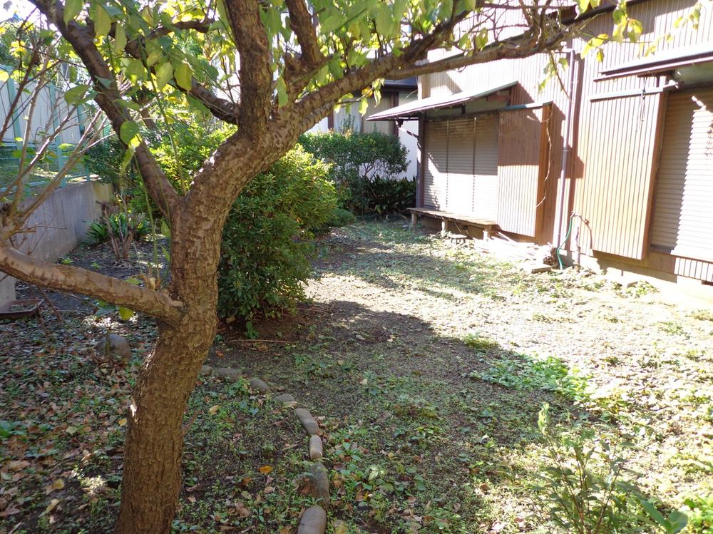 Local land photo
