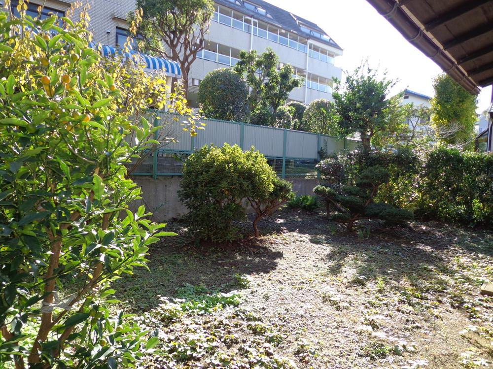 Local land photo
