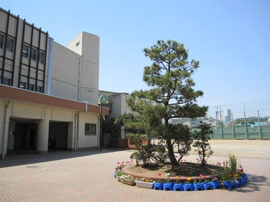 Other. Hachimatsu elementary school