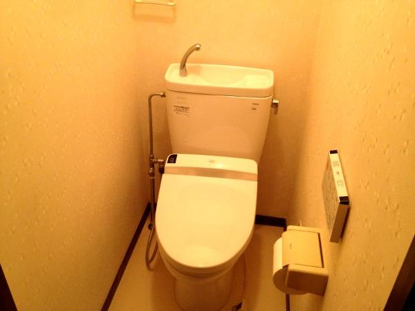 Toilet. Room (August 2013) Shooting