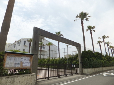 Junior high school. 390m to Shonan junior high school (junior high school)