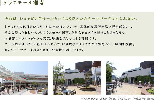 Other local. Terrace Mall Shonan to lead a new epidemic of Shonan