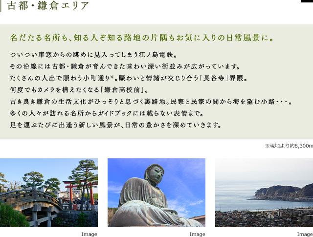 Other local. Taste some streets and historic sites is alive Kamakura area