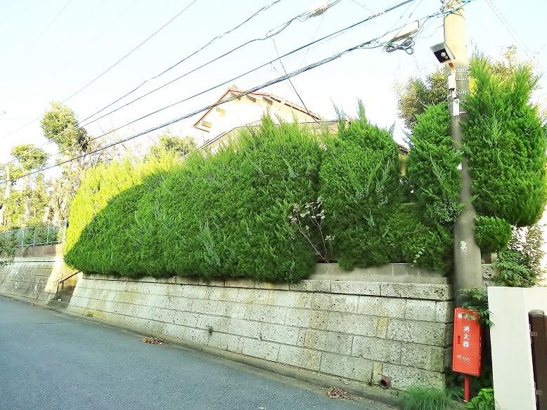 Local land photo. Local (10 May 2013) it is also protected privacy in the shooting richly in extended Ueki. 