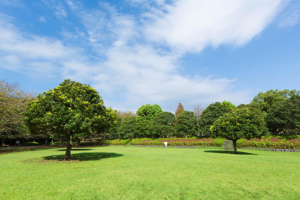 park. 6390m until Oba Castle Park ※ Walk a fraction of the articles and is calculated in 1 minute = 80m. ※ Surrounding environment photo of me is what was taken in September 2013.