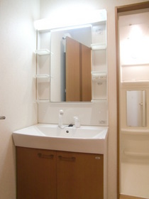 Washroom. Bathroom Vanity