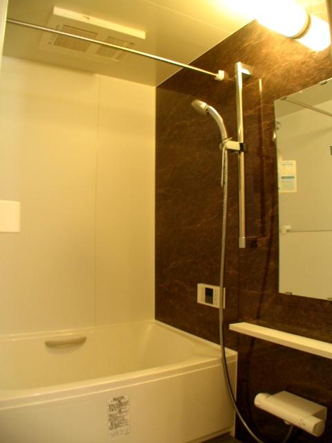 Bathroom. Indoor (2013 years November) Shooting