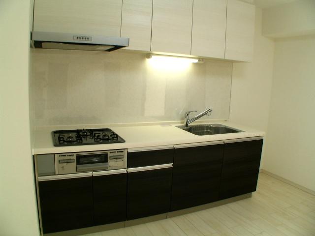 Kitchen. Indoor (11 May 2013) Shooting